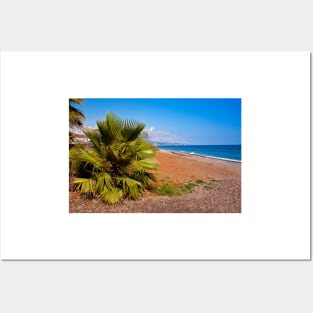 Palm trees Torrox Costa Del Sol Andalusia Costa Spain Posters and Art